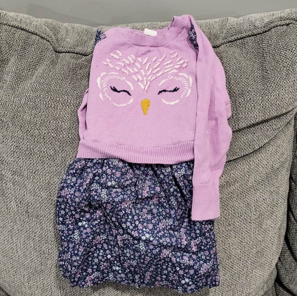 Baby Gap Owl dress